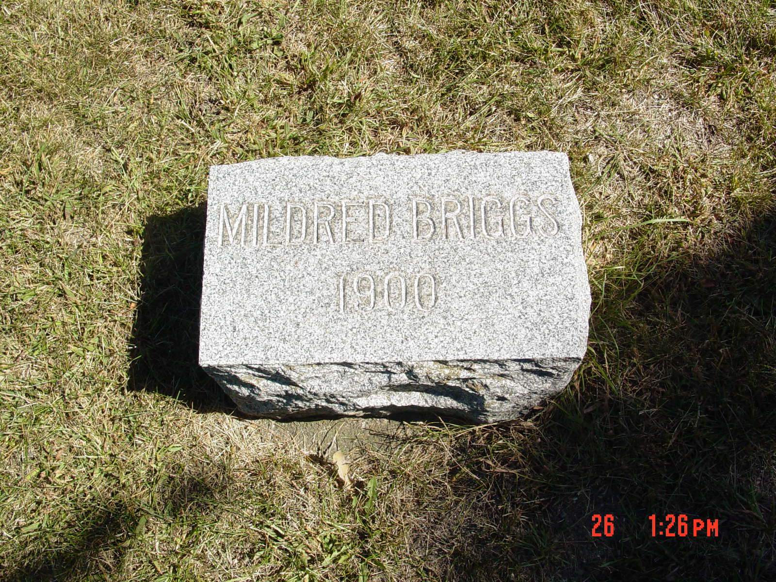 Portrait of Mildred Briggs