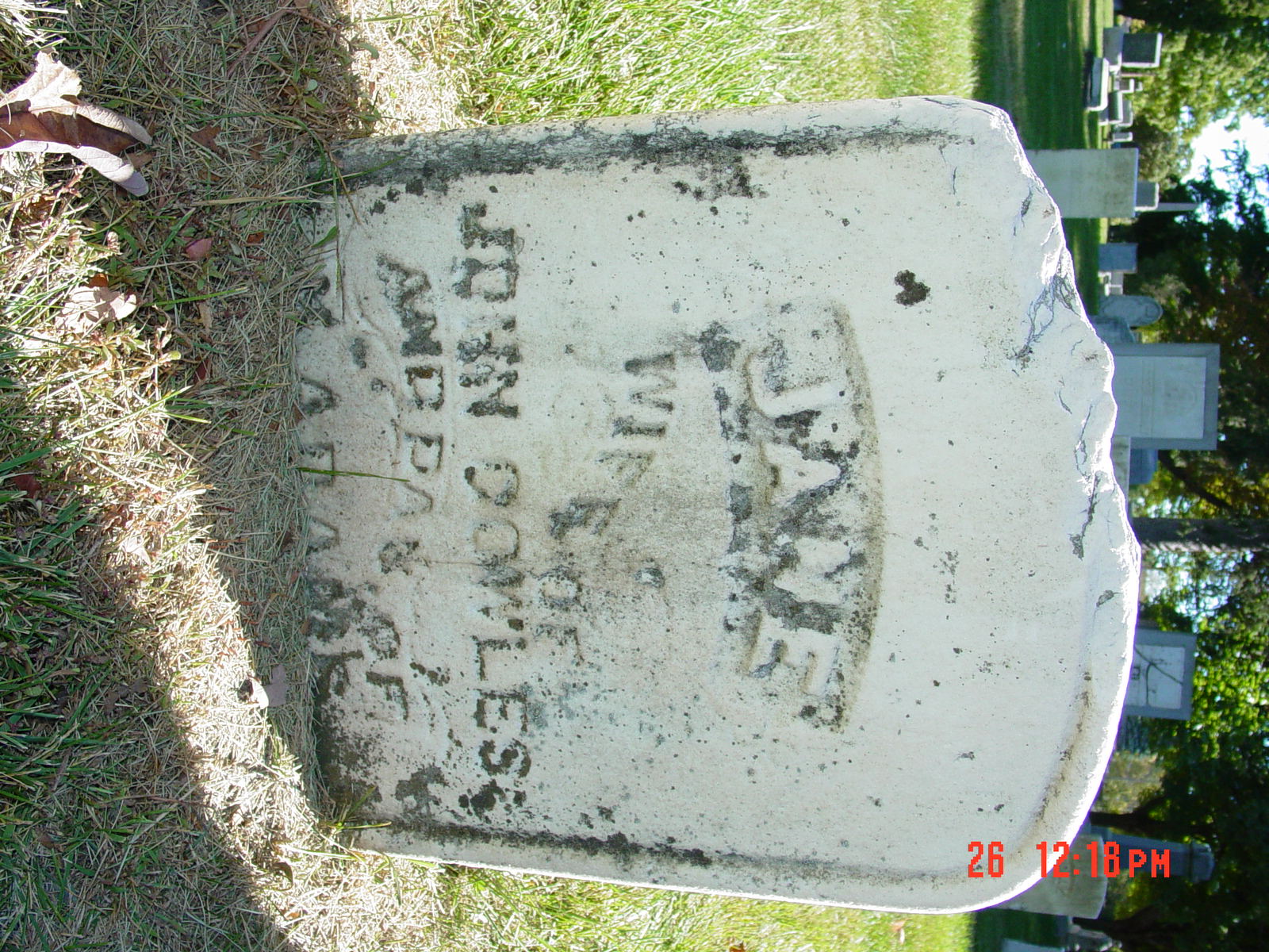 Portrait of Jane Cowles