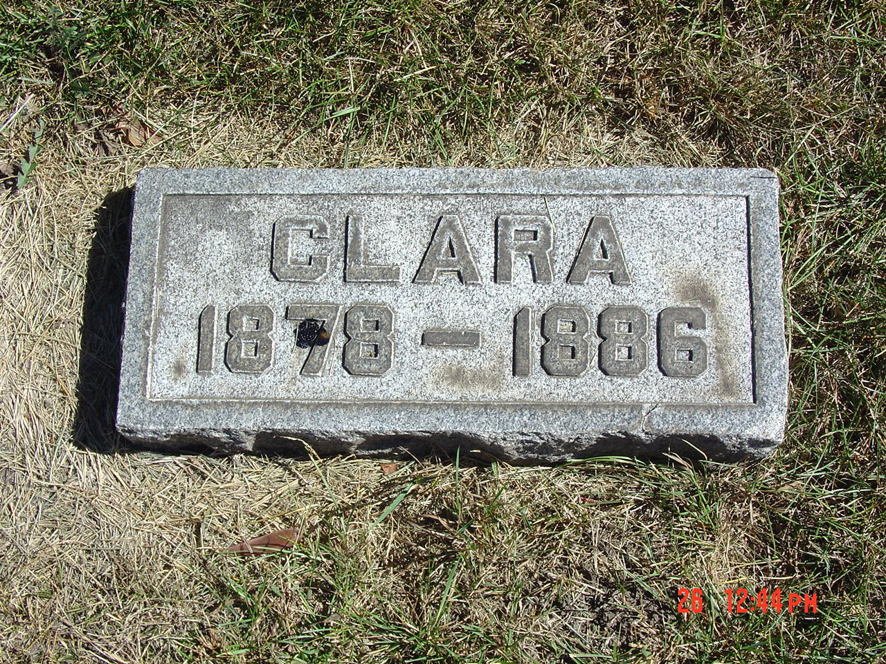 Portrait of Clara Lovell