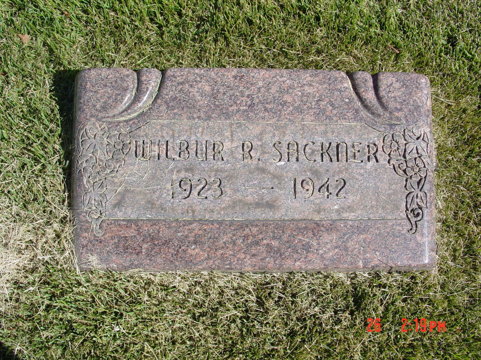 Portrait of Wilbur R. Sackner