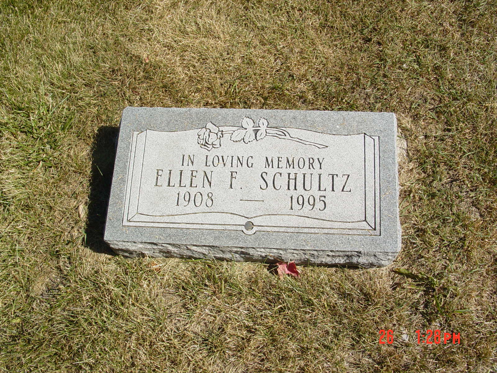 Portrait of Ellen F Schultz