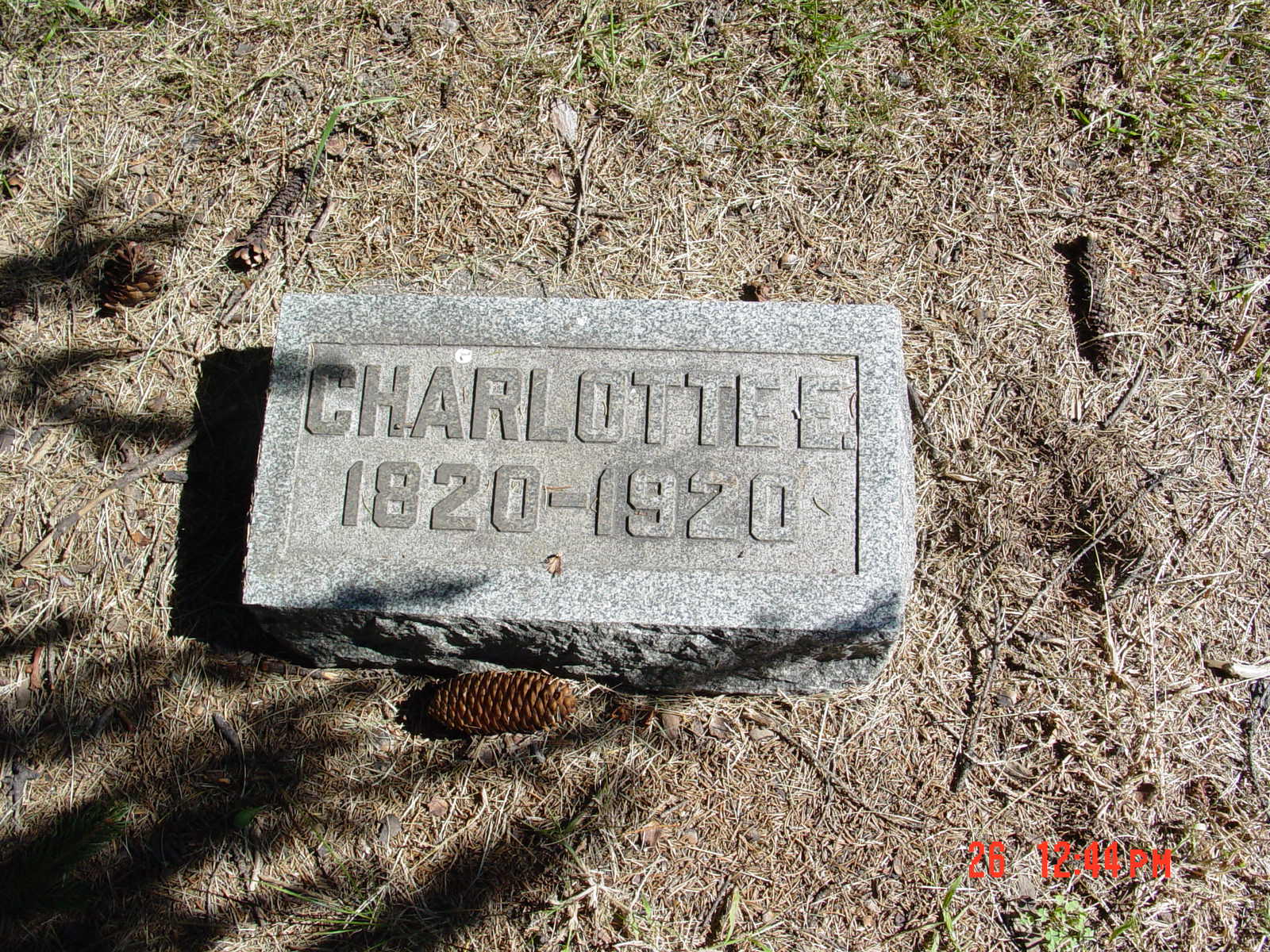 Portrait of Charlotte St John