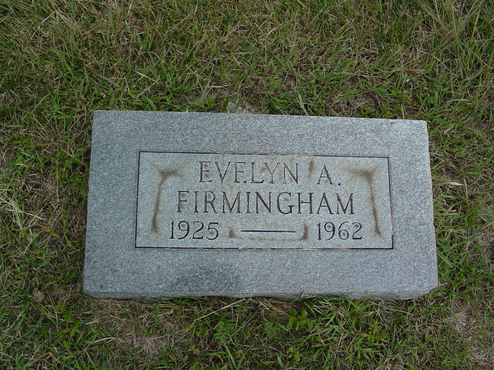 Portrait of Evelyn A Firmingham
