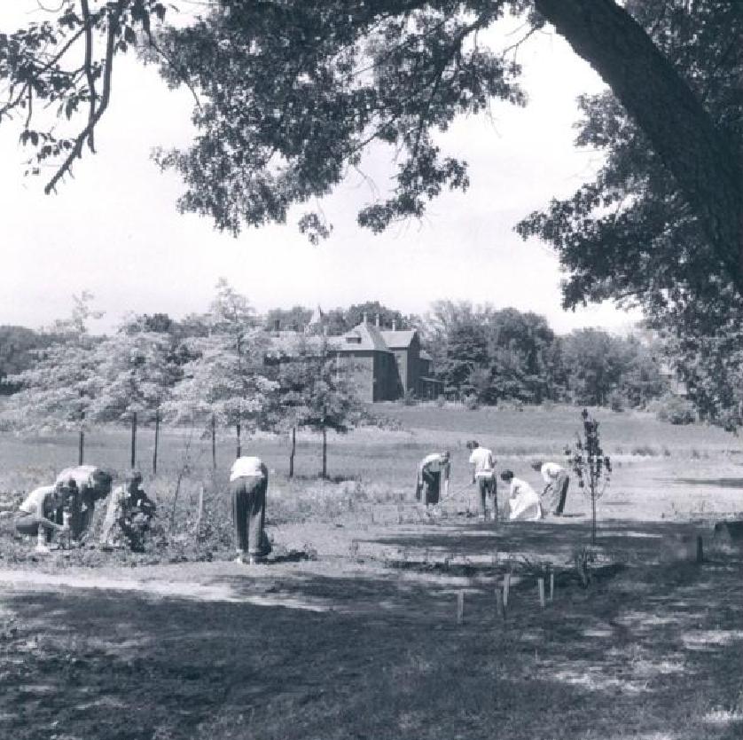 Farm - Eastern Michigan Asylum