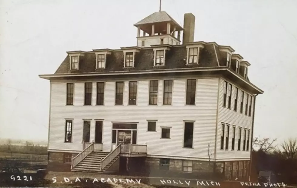 Academy School - Holly