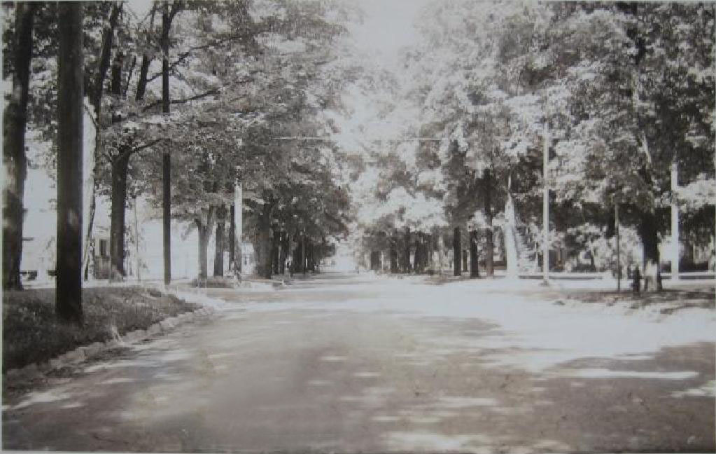 E. Maple St. - Holly