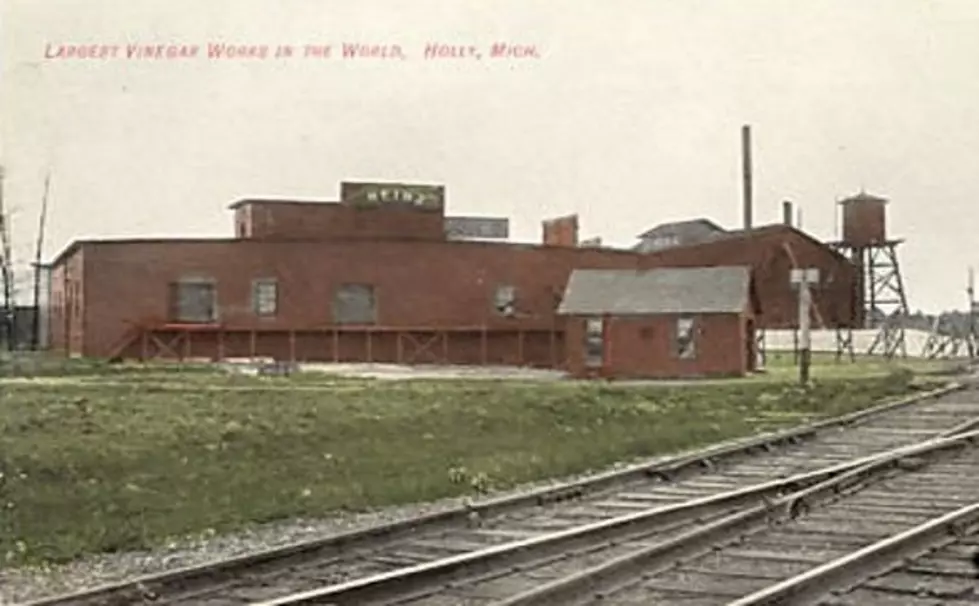 Heinze  Vinegar Factory - Holly