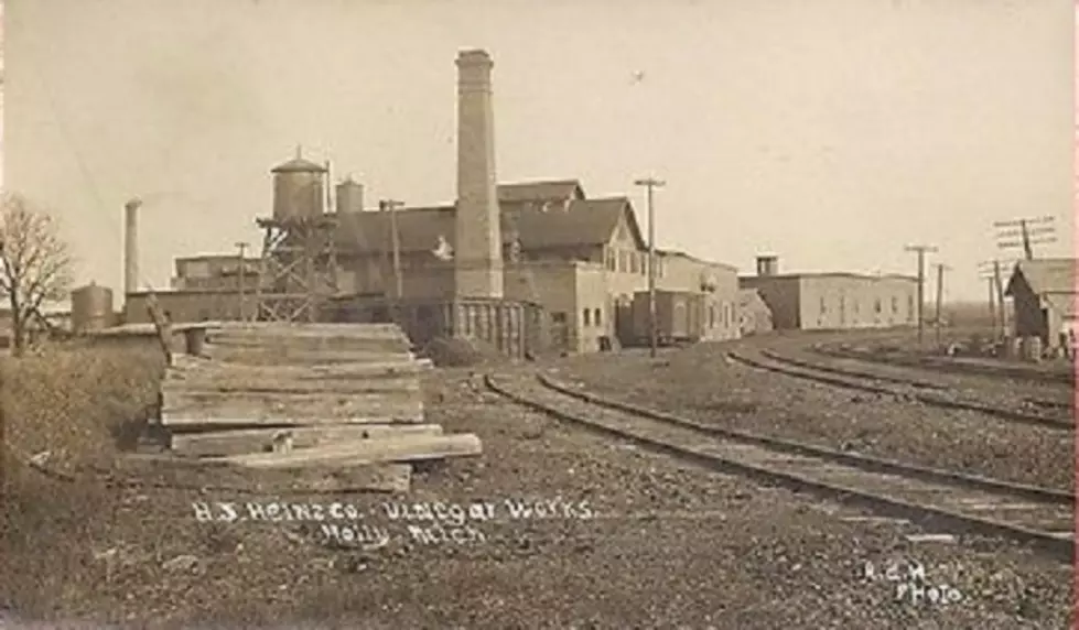 Heinze Vinegar Works - Holly